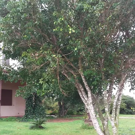 Stella Dei Venti