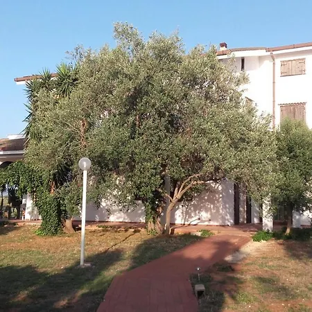 Stella Dei Venti